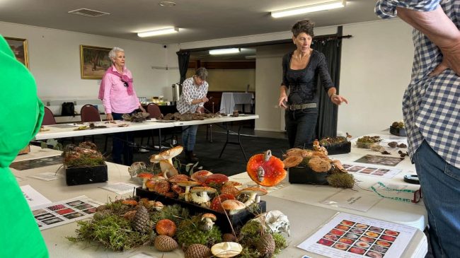 Conversion to jpeg (6)