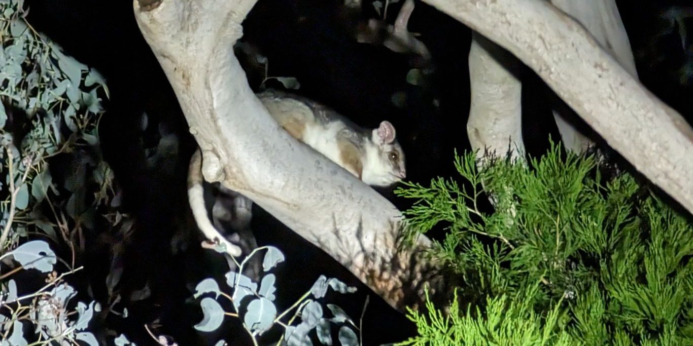 Conversion to jpeg (7)