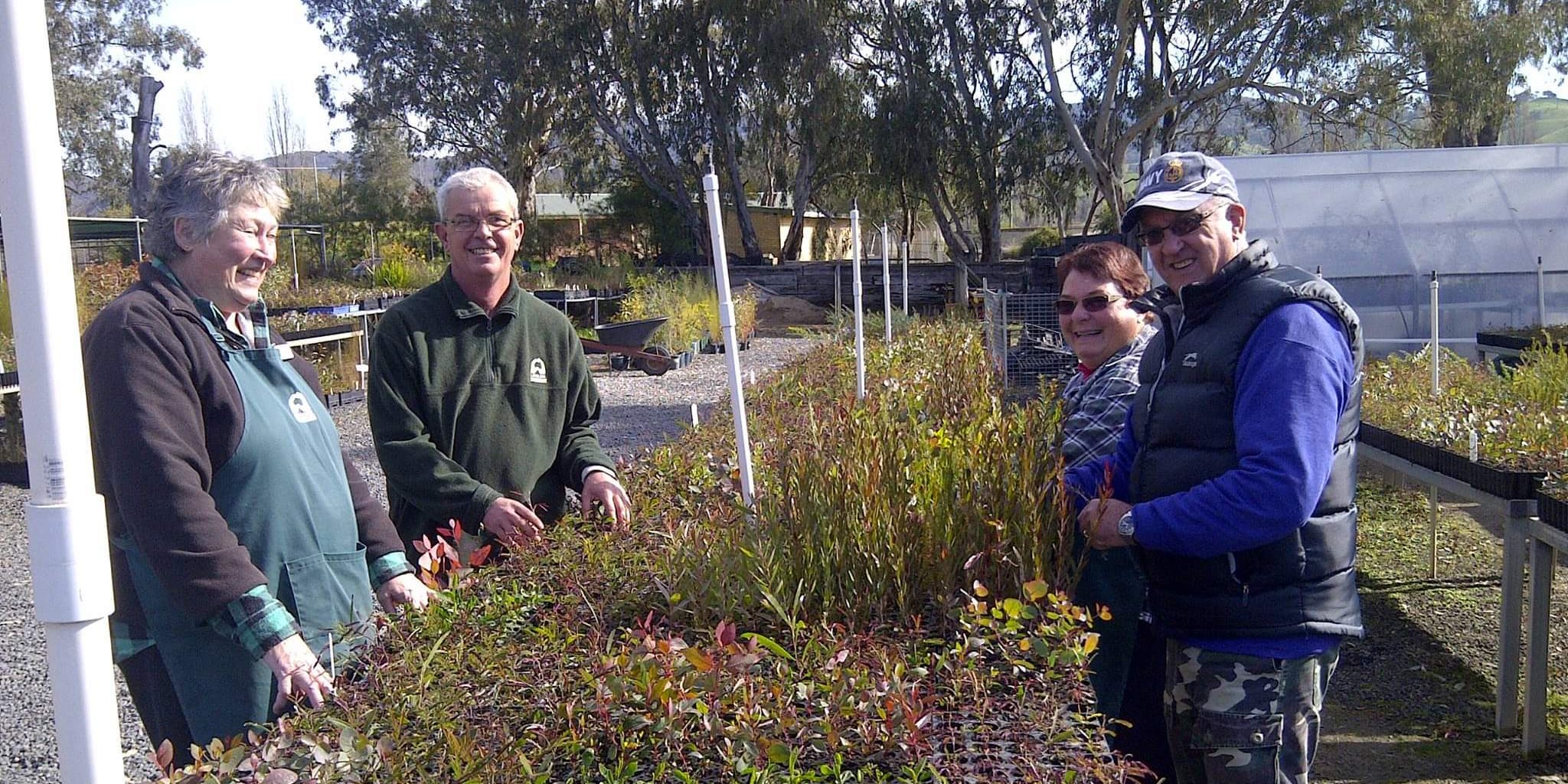 Tumut nursery