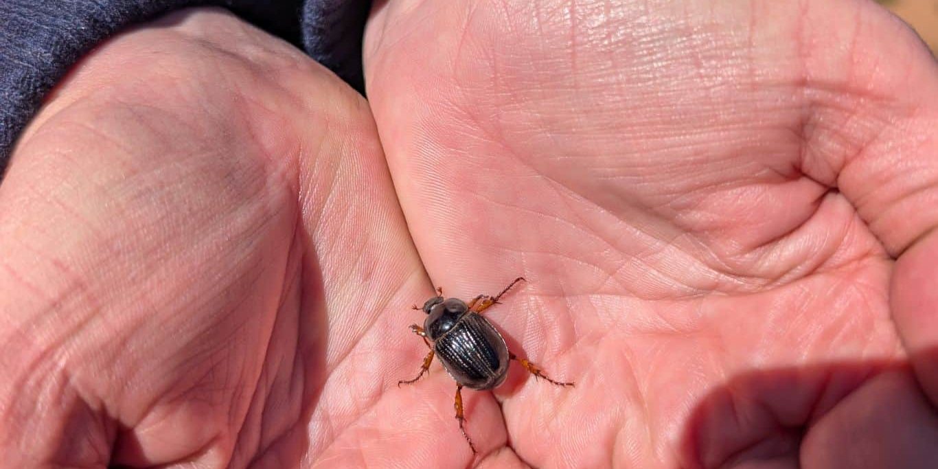 Conversion to jpeg (8)