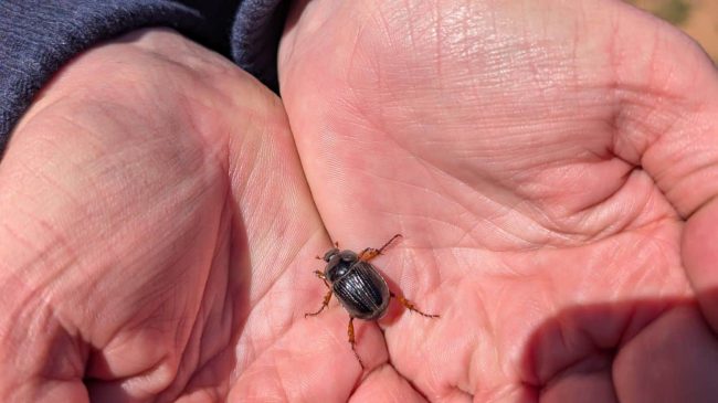 Conversion to jpeg (8)