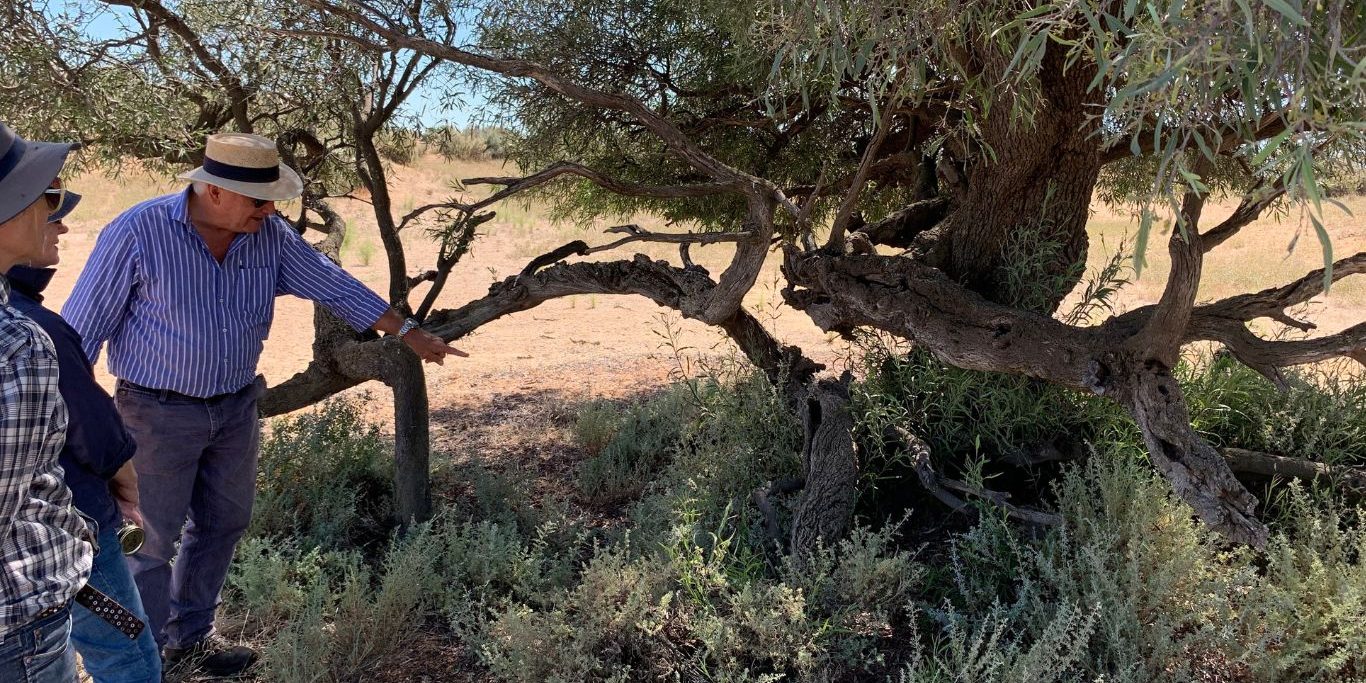 Conversion to jpeg (9)