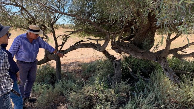 Conversion to jpeg (9)