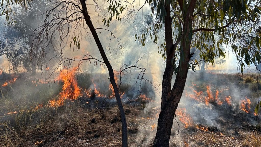 Case study 5-6: Cultural Burn Workshop: Building Drought Tolerance