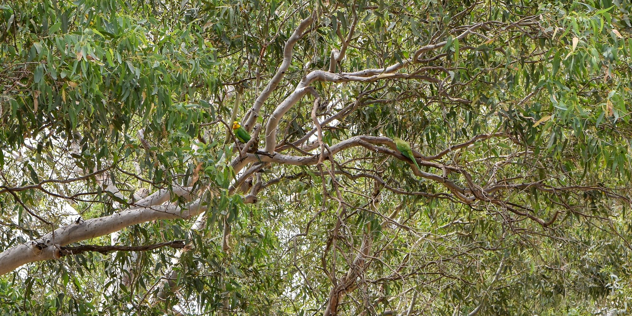 476453160_122212218632077877_6875990937753102241_n