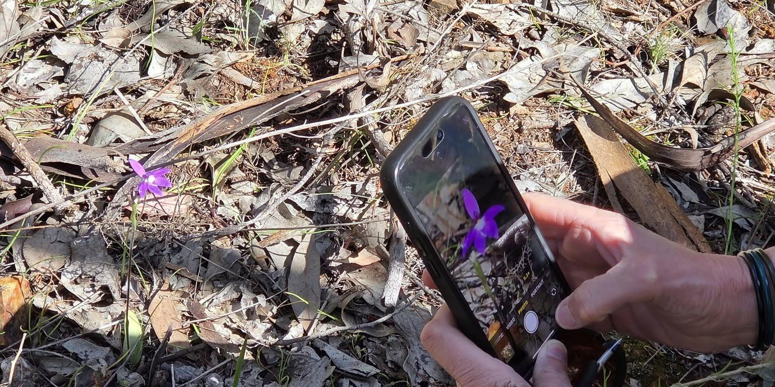 556036779_122172384398380040_8730168352009291530_n