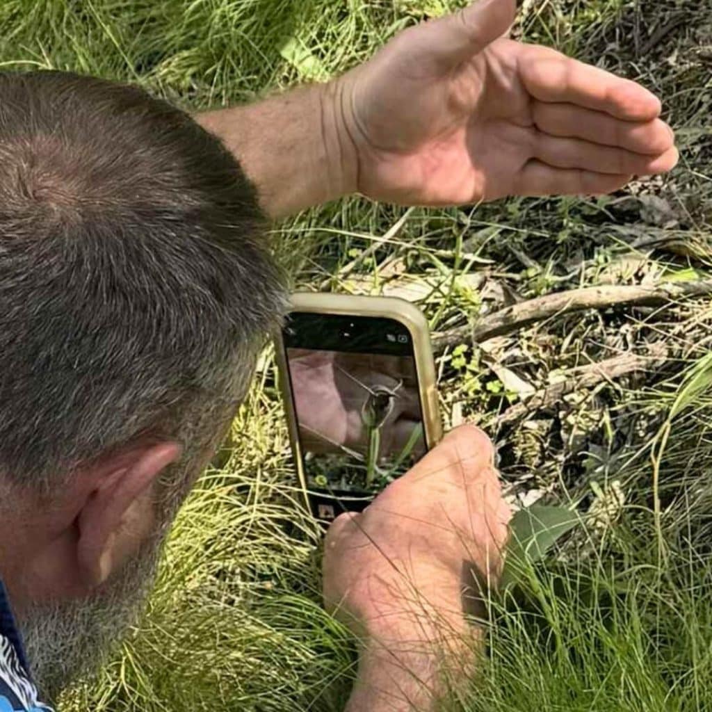 Batlow: What went bump in the night BioBlitz