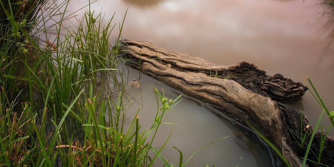 51920775_2059175207492144_1957007483419492352_n