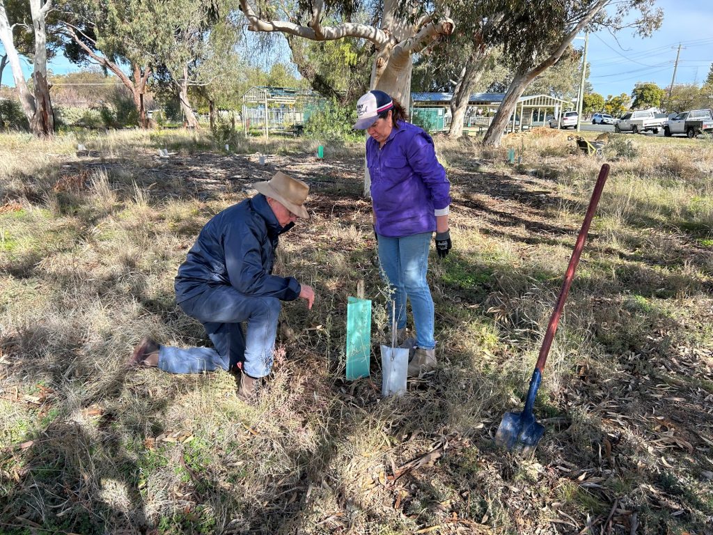 Landcare Alive is Branching Out in Hay