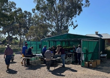 Hay: AGM, Christmas Celebration & Historical Tree Unveiling