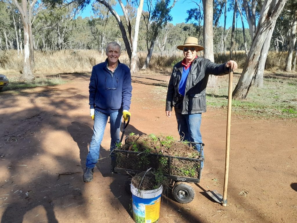 Narrandera Landcare Members with Bridal Creeper