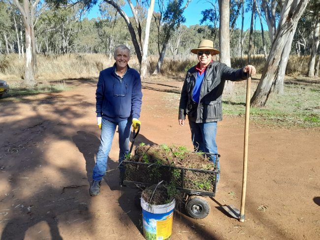 Narrandera Landcare Members with Bridal Creeper