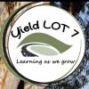 Yeild Lot 7
