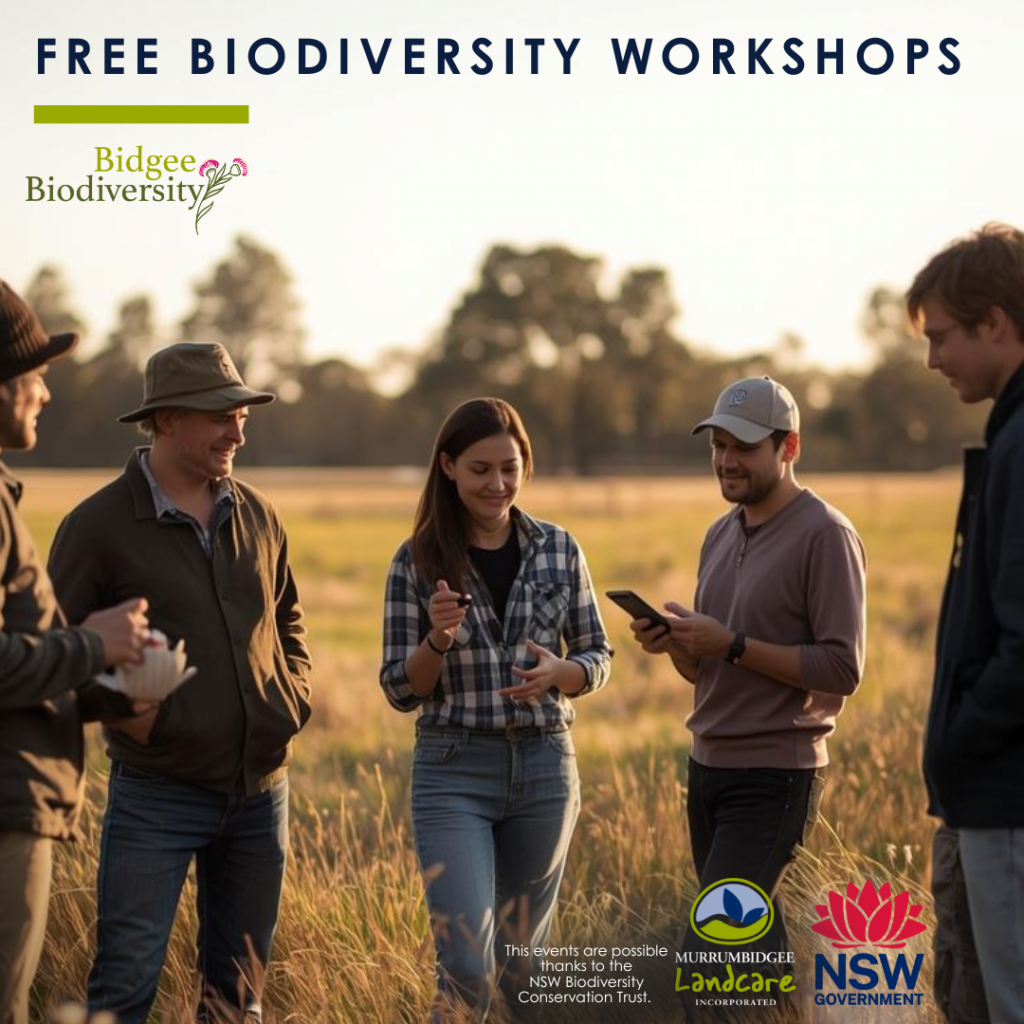 Free workshops exploring biodiversity throughout May 2026