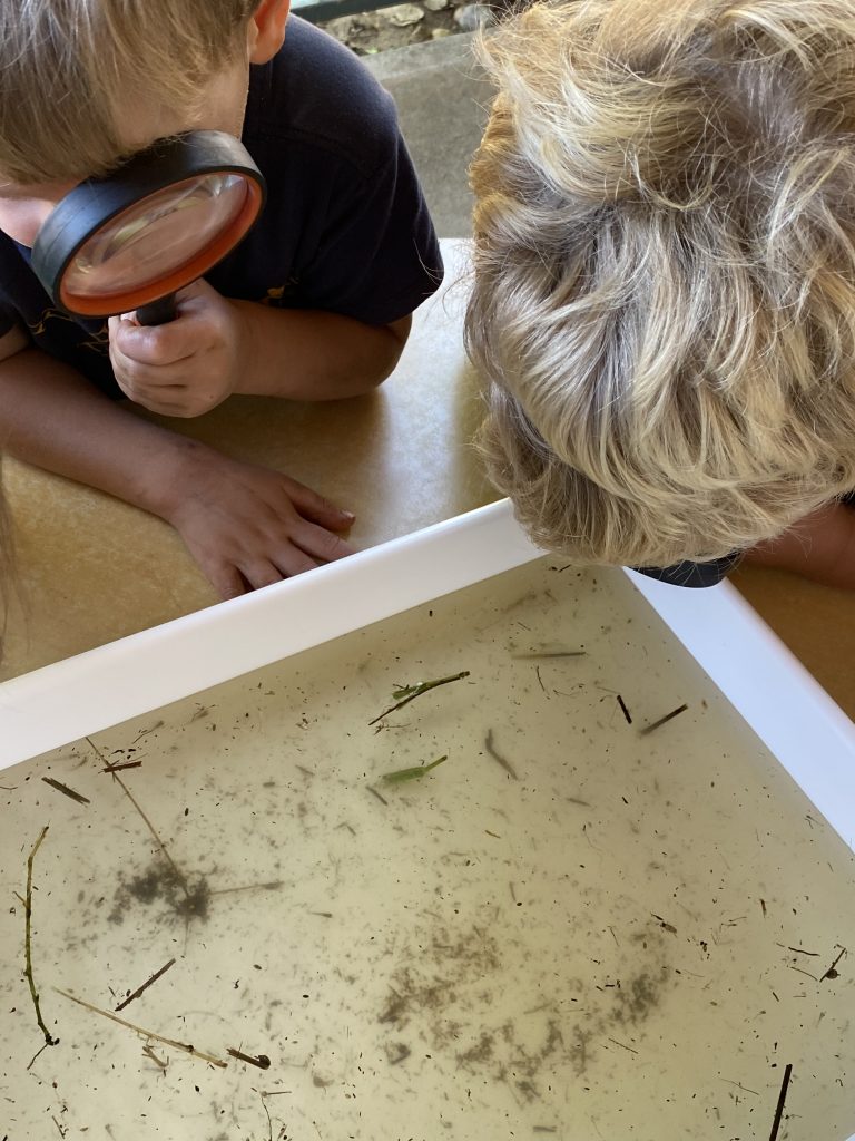 Case Study: The power of a tiny bug