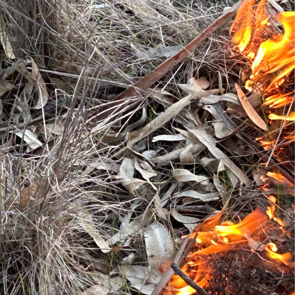 Tumut: Igniting Biodiversity