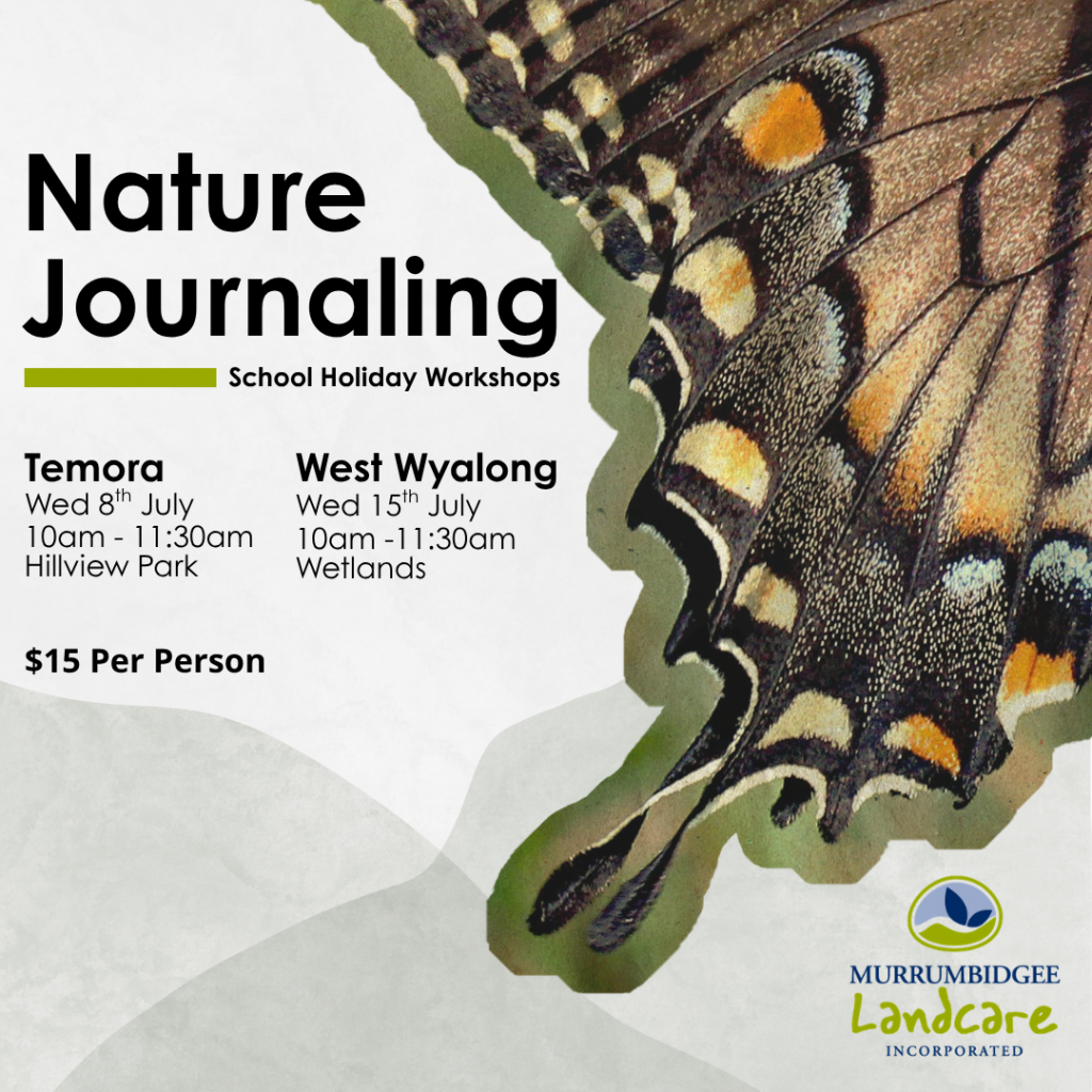 Nature Journaling