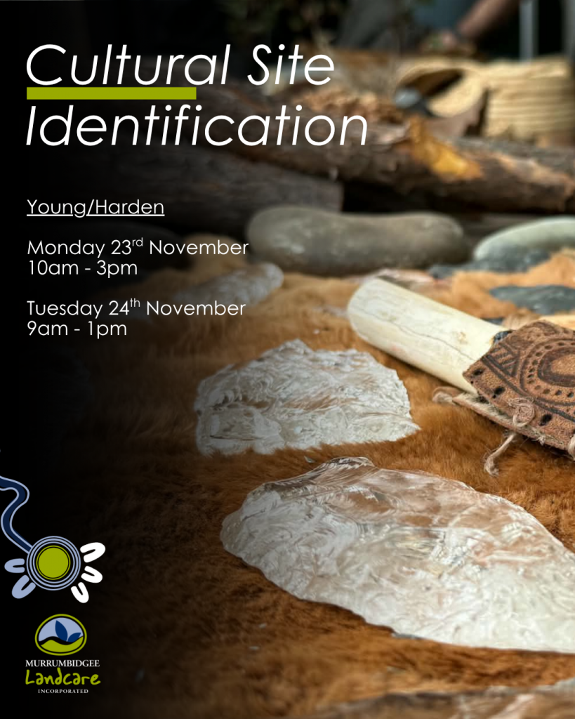 Cultural Site Identification Training (3)