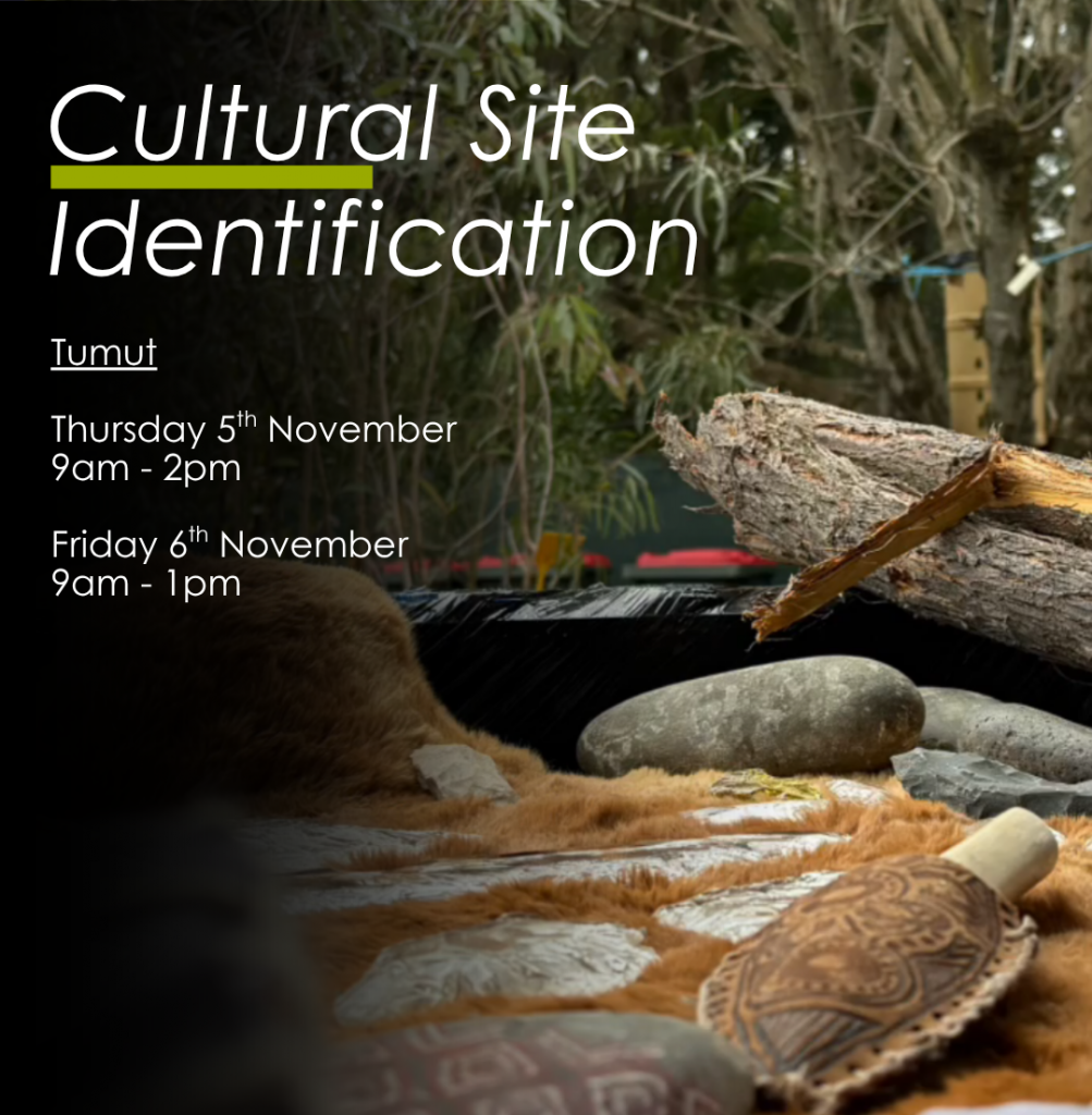 Cultural Site Identification Training
