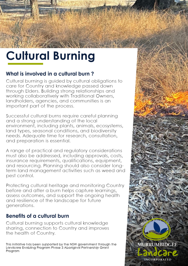 Cultural burn elements - image