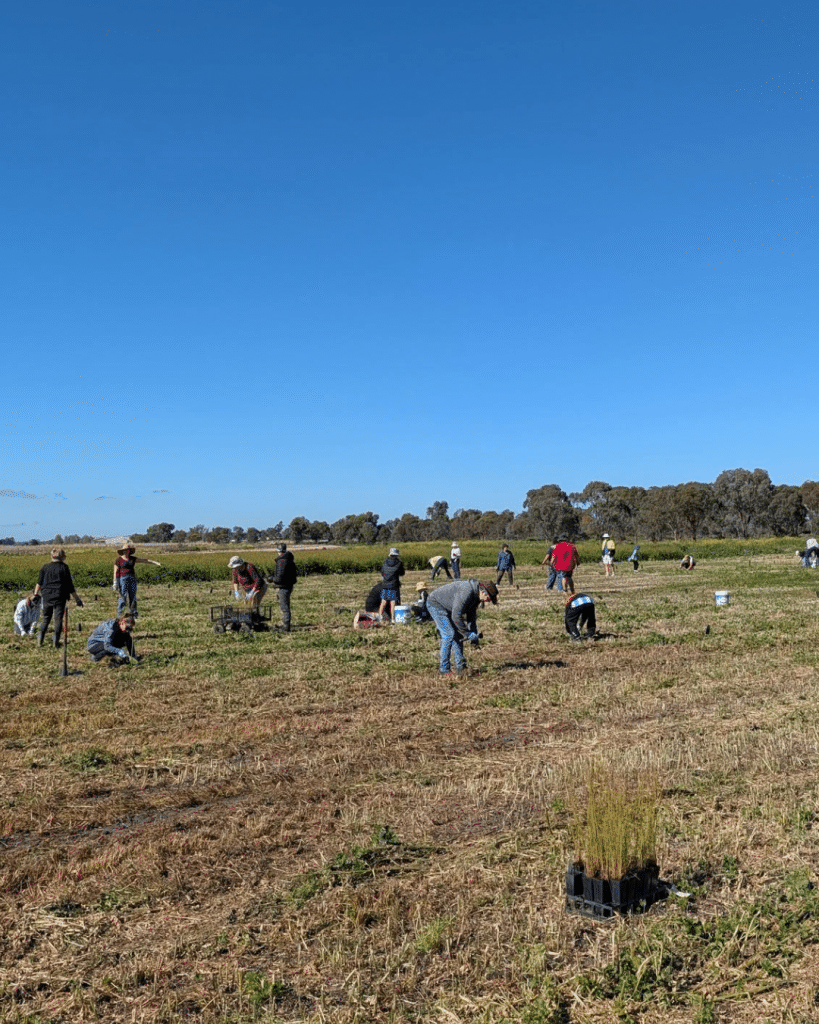 Fivebough Planting Group