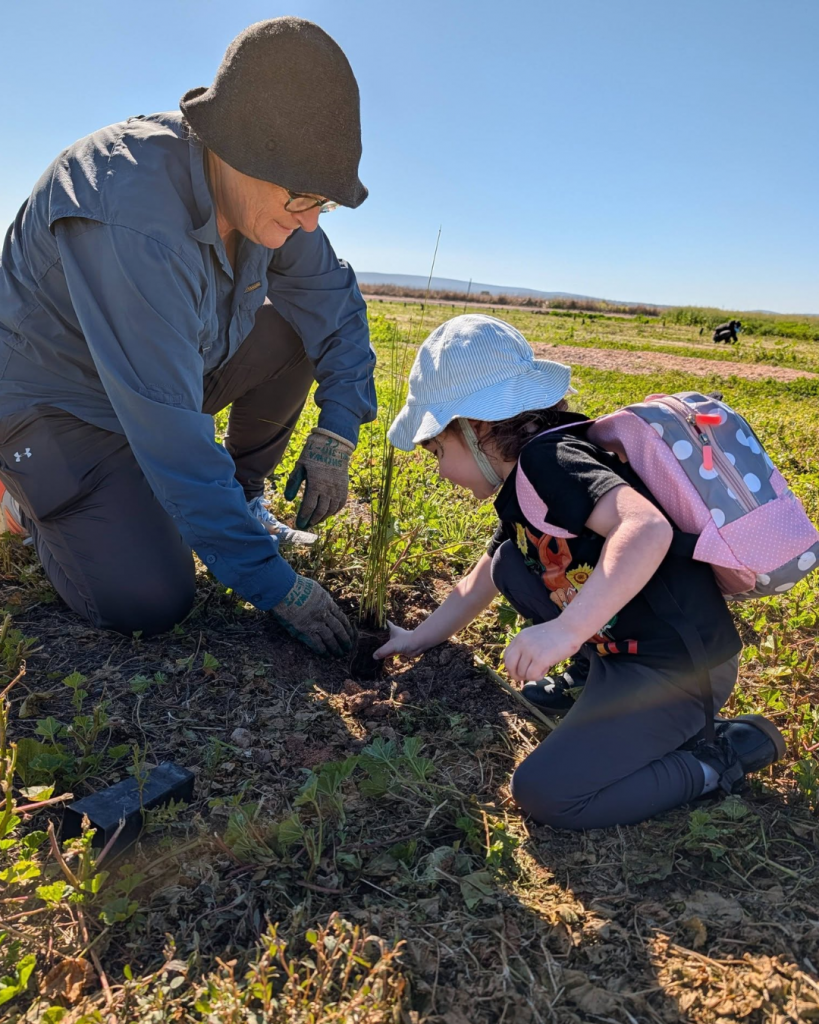 Fivebough Planting