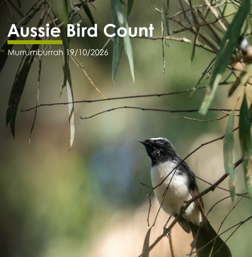Harden Bird walk (2)