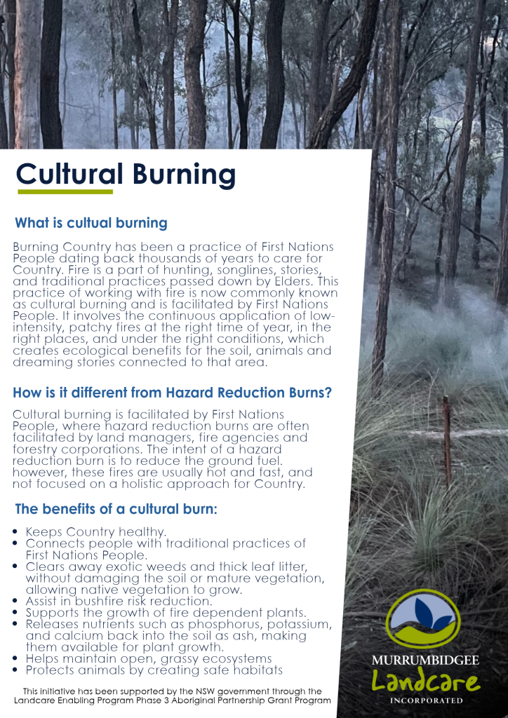What is cultural burning - image